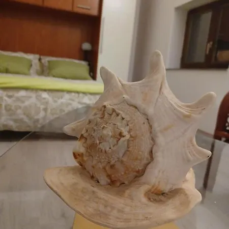 Appartement Dalmatia Rustica Comfortable One Bedroom+fireplace