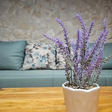 شقة Dalmatia Rustica Comfortable One Bedroom+fireplace زادار