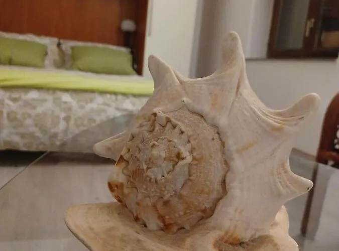 Lägenhet Dalmatia Rustica Comfortable One Bedroom+fireplace